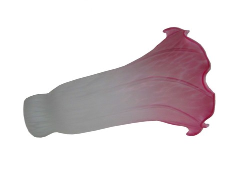 Lily glass with - lily, stained