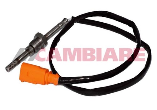 Cambiare exhaust gas - cambiare,