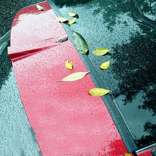 Car trunk gap - trunk, rubber