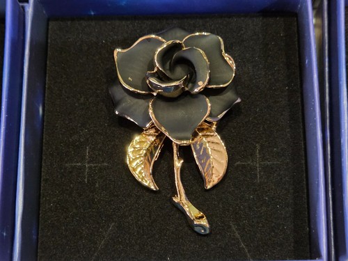 Stunning mourning jewellery - mourning,