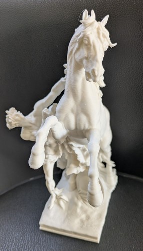 Marly horse statue printed - horse,