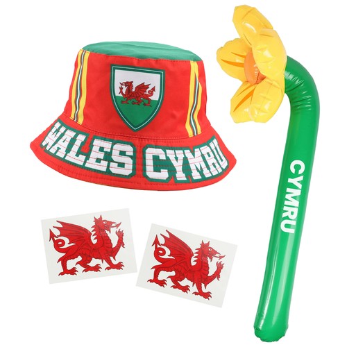Wales world cup - bucket, hat