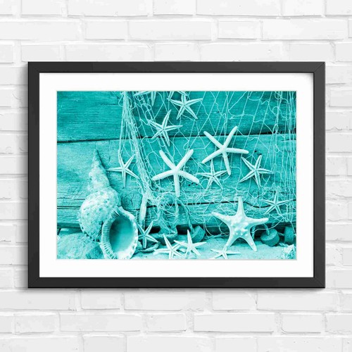 Seaside starfish shells and - seaside,