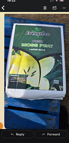 Evergreen irish moss peat 100 - evergreen,