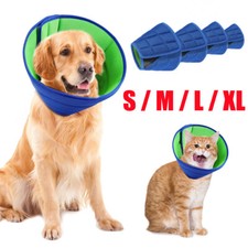 Pet Recovery Lightweight Dog