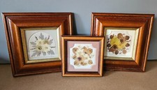 Set of 3 Vintage Framed Dried Pressed Flowers by Joanna Sheen, England