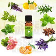 Pure 10 ml Essential Oil selection for Aromatherapy Home Fragrance Candle Making