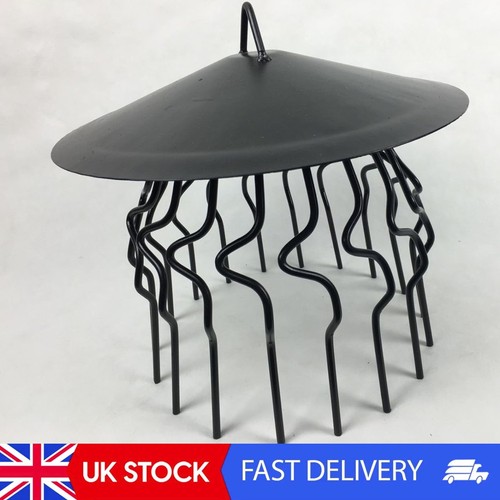 Chimney bird cage - bird,