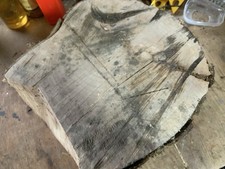 Spalted Sycamore Bowl Blank
