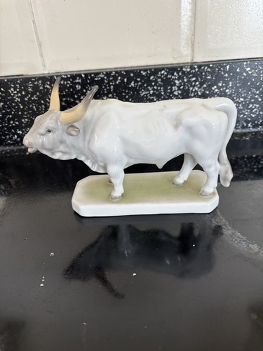 Hungarian bull - hungarian,