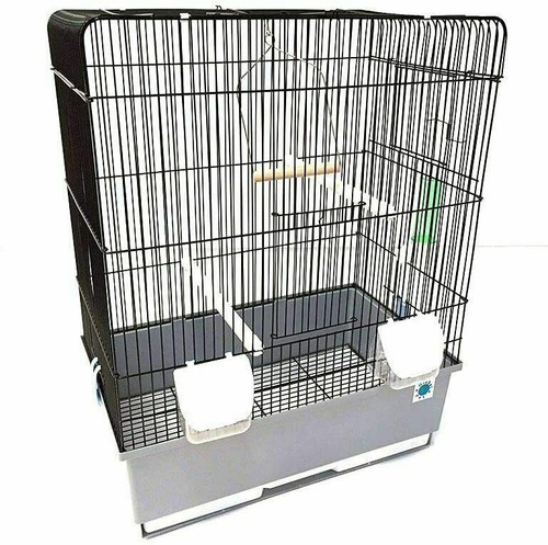 Crystal budgie canary bird - canary,