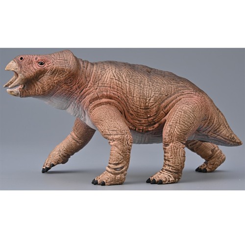 Collecta placerias prehistoric - placerias,