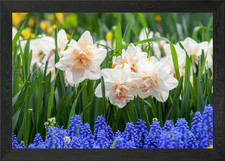 Beautiful Flowers Framed Wall