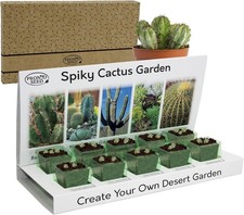 Cactus Seeds | Grow Your Own Cactus Kit | Gardening Gift For Women | Men
