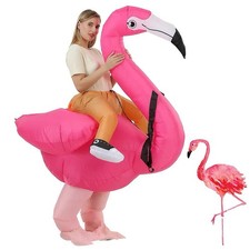 Inflatable Flamingo Costume