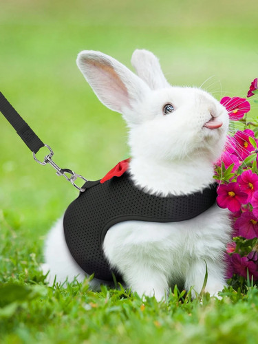 Bunny leash vest set soft - set,