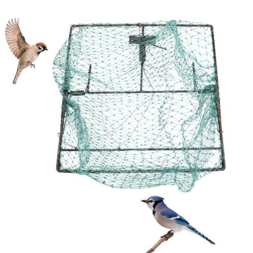Bird nets humane - bird, traps