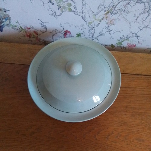 Vintage spode england - spode,