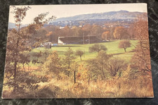 unused postcard - The Sports