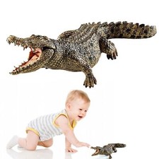 Simulation Crocodile Alligator