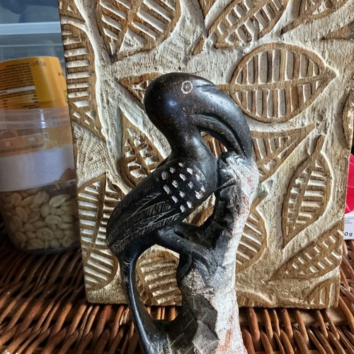 Hornbill bird trunk - bird,