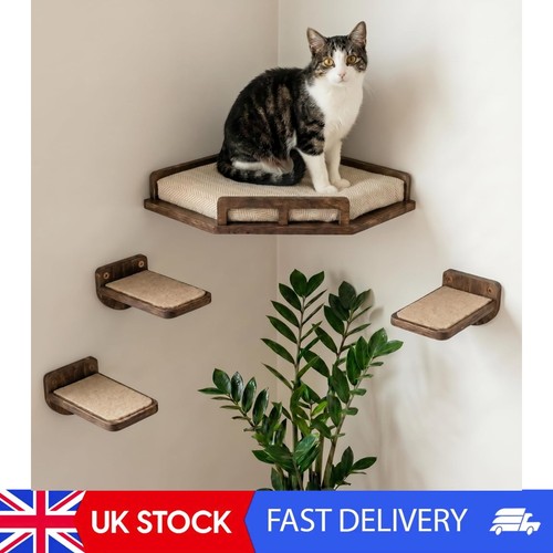Cat wall shelves - shelves, safe