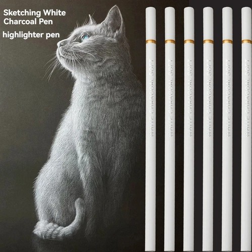 6pcs white charcoal pencil set - white,
