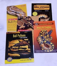 Ball Python snakes - owners