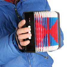 17 Keys Accordion Musical