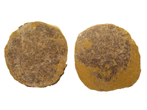 Carboniferous pennsylvanian - carboniferous,