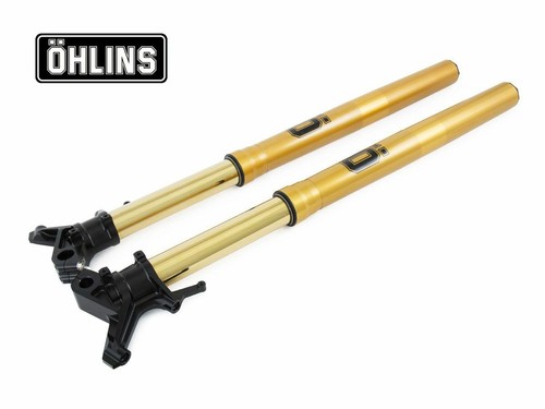 Ohlins fork nix 43mm - nix, for