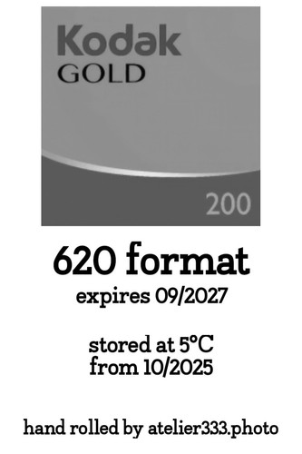 620 format kodak gold 200 - gold, film