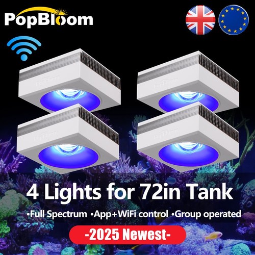 Popbloom rl90 wifi - wifi, marine