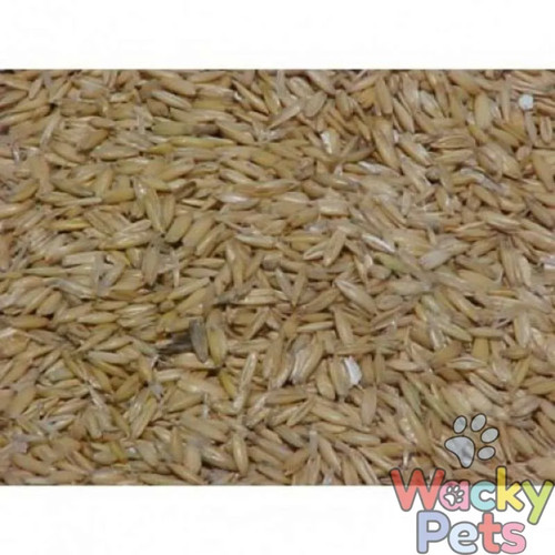 Whole oats 20kg friendship - whole,