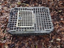 Poultry Pheasant Duck Goose