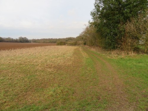 Photo 6x4 lower - 6x4,
