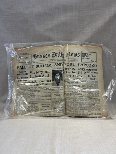 Original sussex daily news - sussex,
