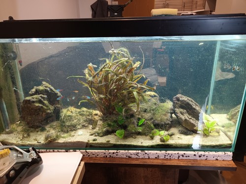 80l 76cm long glass - 76cm,