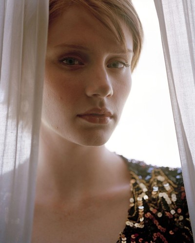 Bryce dallas howard - howard, 8x10