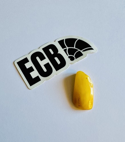 Baltic amber 100 - baltic, real