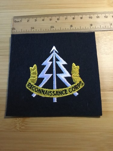 The reconnaissance corps - reconnaissance,