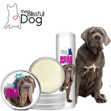 Neapolitan Mastiff Blissful