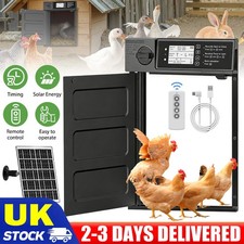 Large Size Automatic Chicken