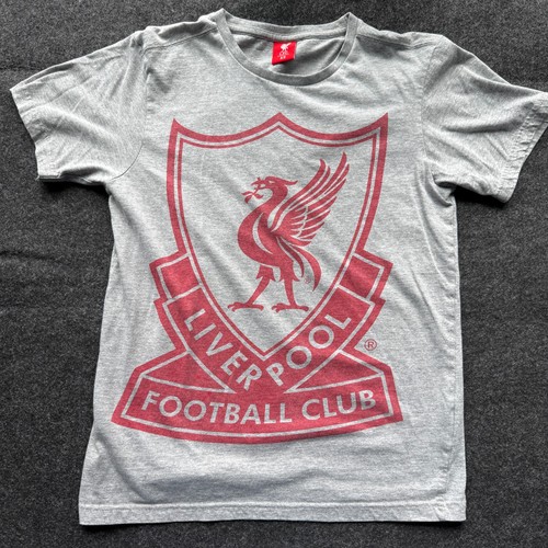 Liverpool adult gray - fc,