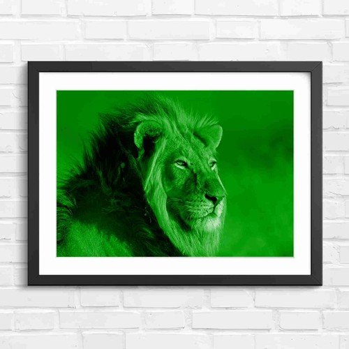 Majestic male lion - majestic, portrait