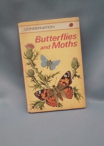 Butterflies and moths ladybird - butterflies,