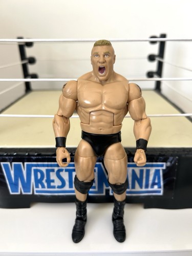 Wwe brock lesnar wrestling - brock,