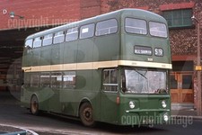 Bus Photo - SELNEC Central