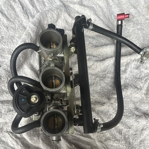 Triumph sprint 955i oem - 01,