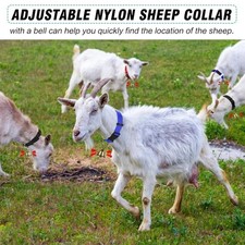 Goat Collars with Bells